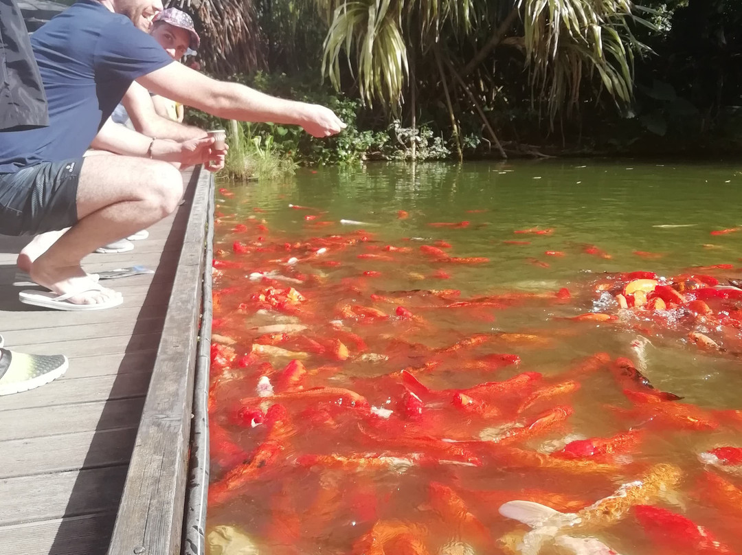 Jardin Botanique de Deshaies景点图片
