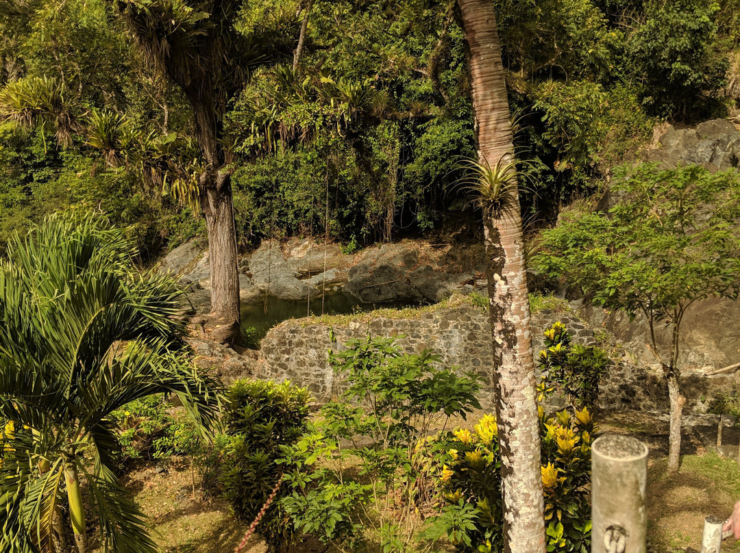 Tobago Off-Road Expeditions-斯卡伯勒必去景点