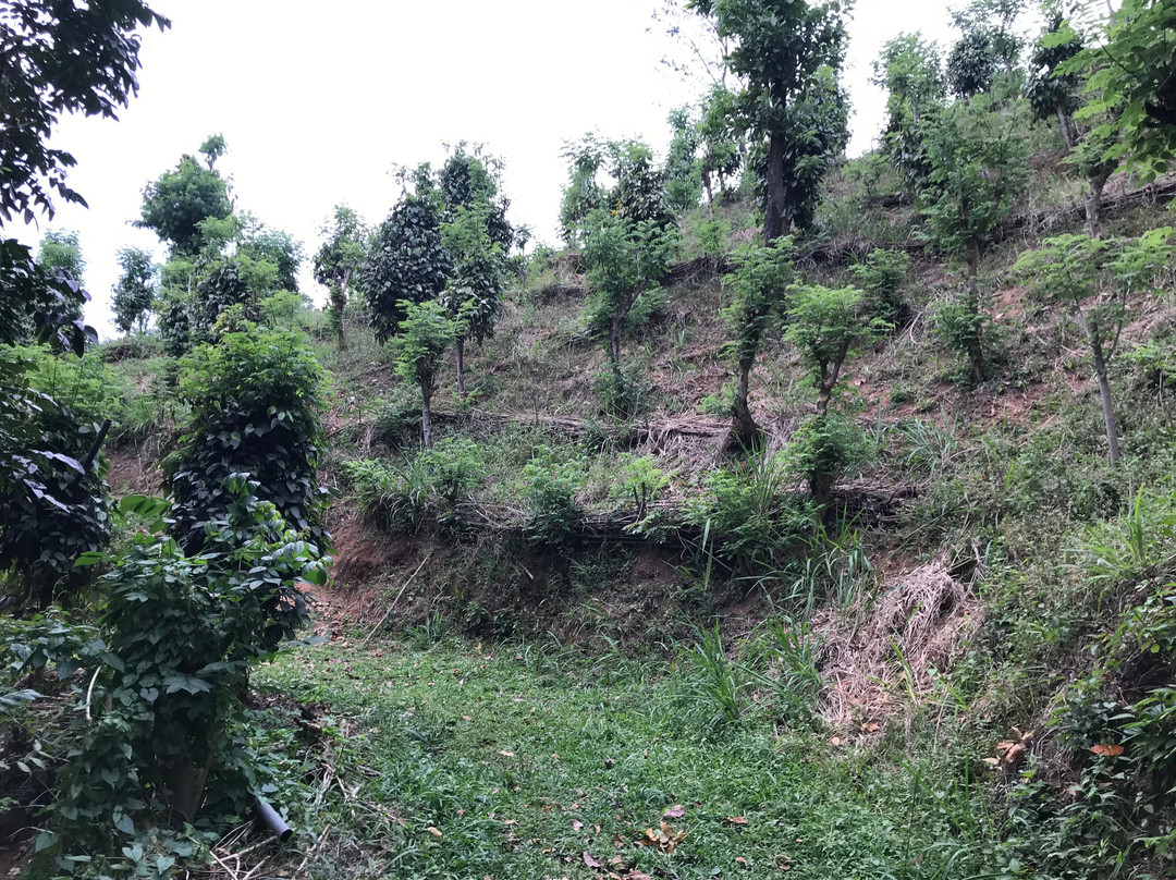 Old Farnkland Kandy Luxury Boutique Hotel主图