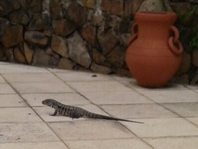 阿拉佩绿洲温泉酒店主图