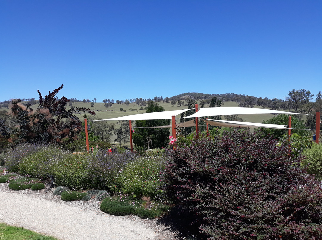 Cherrydale Orchard-坦特菲尔德必去景点