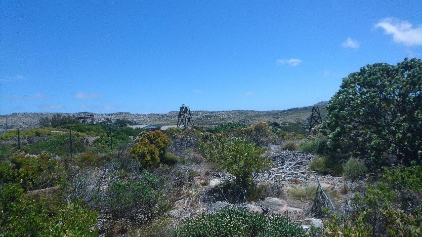 Signal School Steps-西门镇必去景点