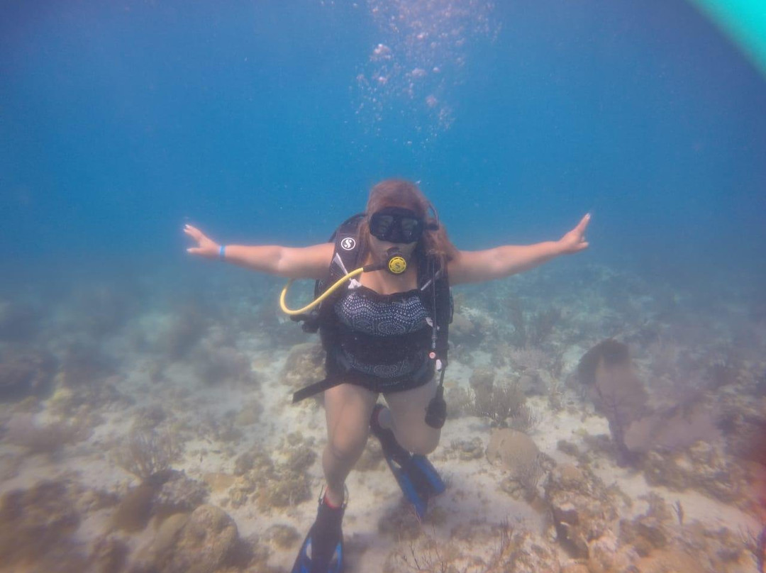 Centro De Buceo Narval景点图片