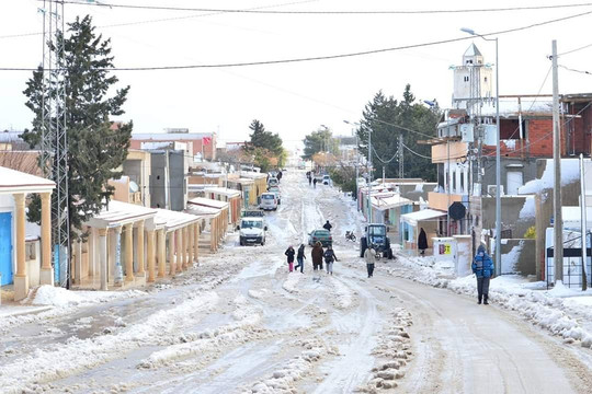 Haïdra Ruins-Haidra必去景点