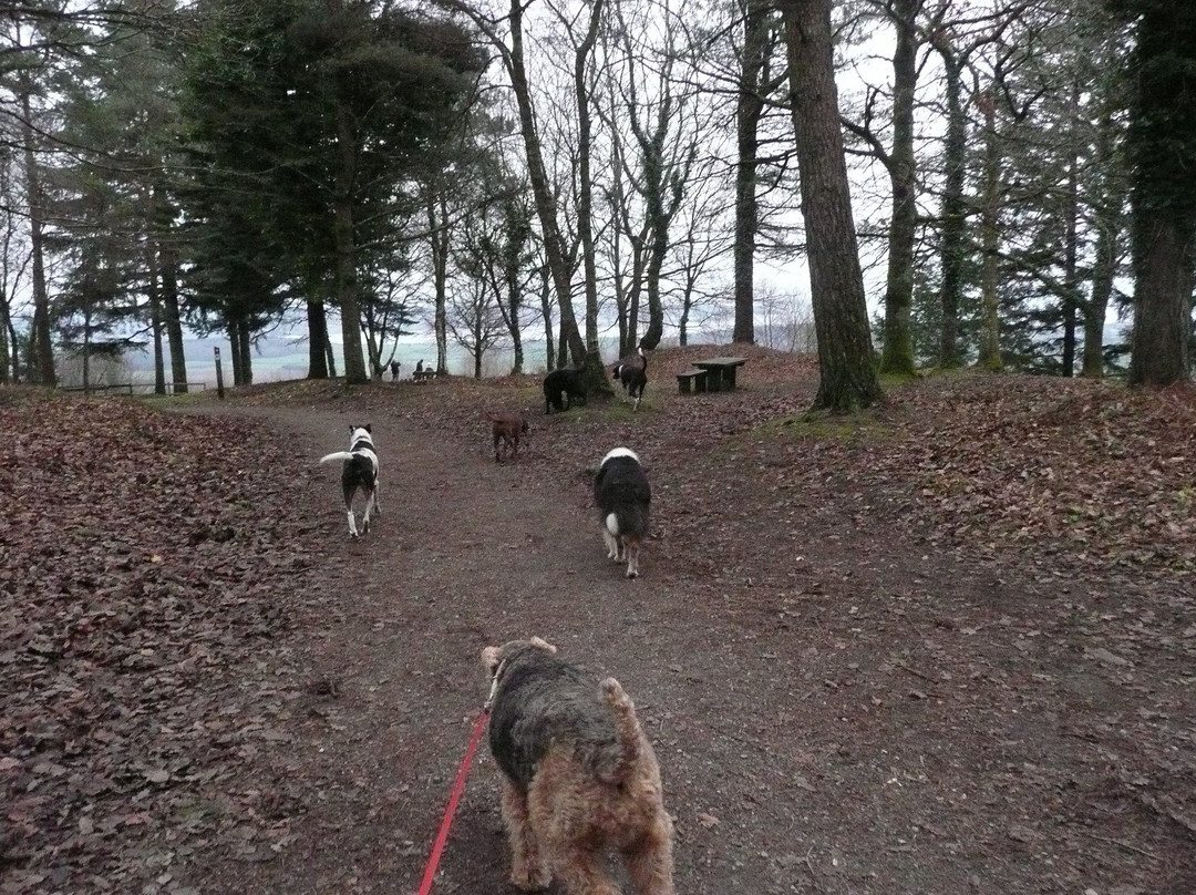 Mamhead-道利什必去景点