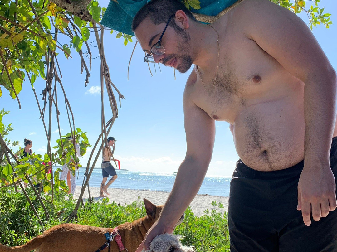 Rickenbacker Causeway Beach-比斯坎湾必去景点