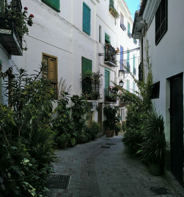 Ruta de los Pilares景点图片