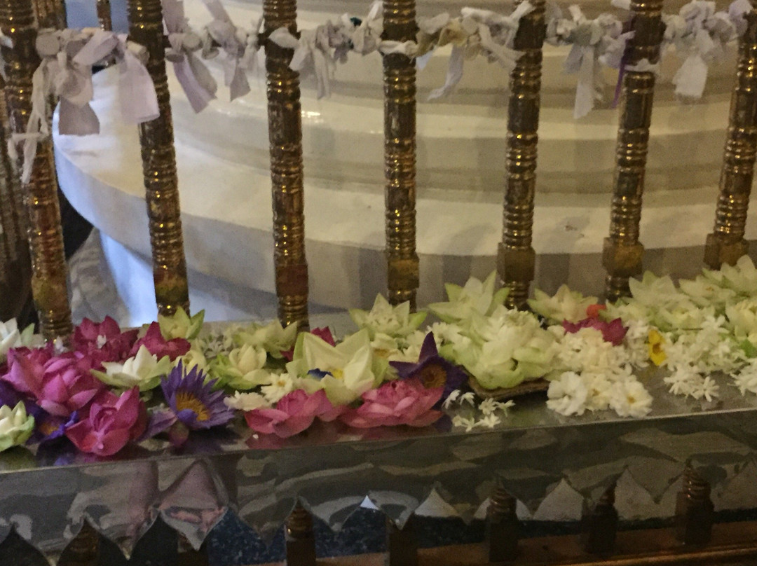 Cango Tour-亚洪加拉必去景点