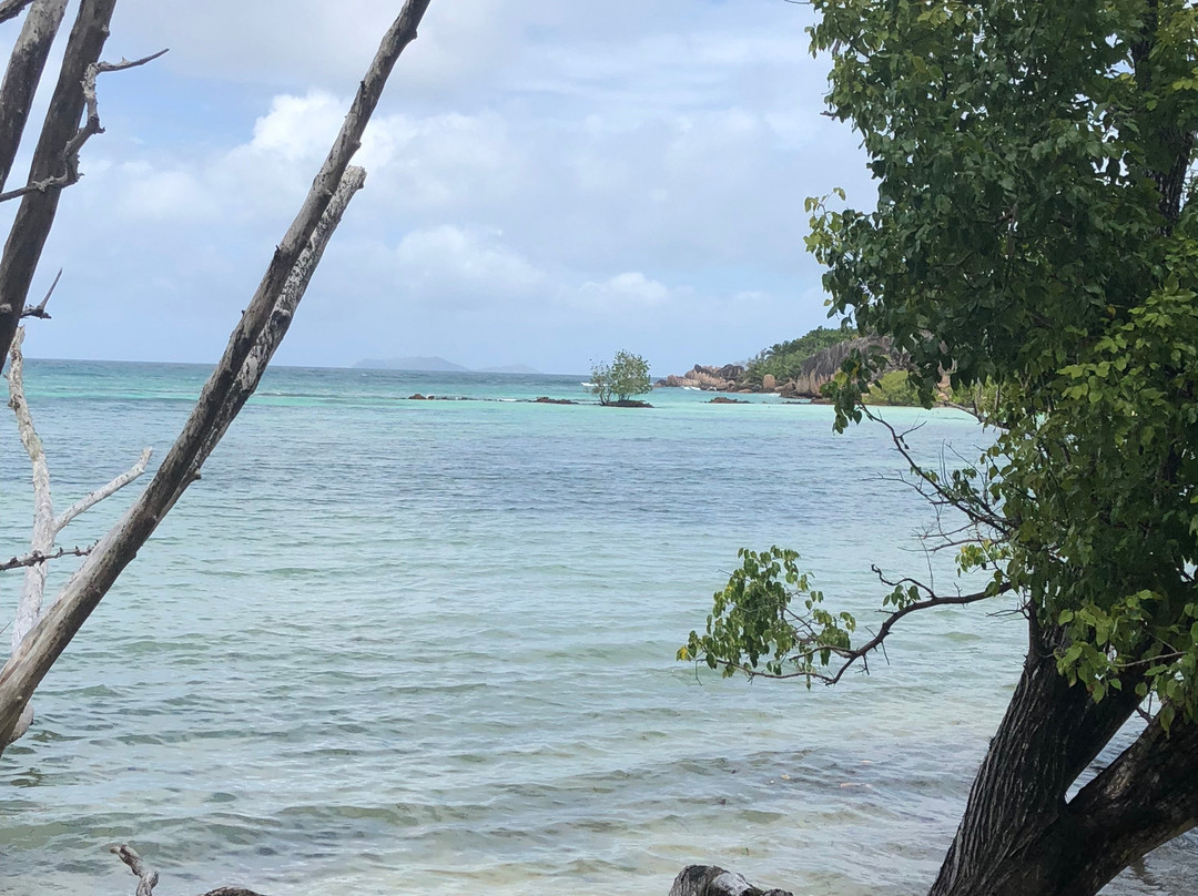 Curieuse Island景点图片