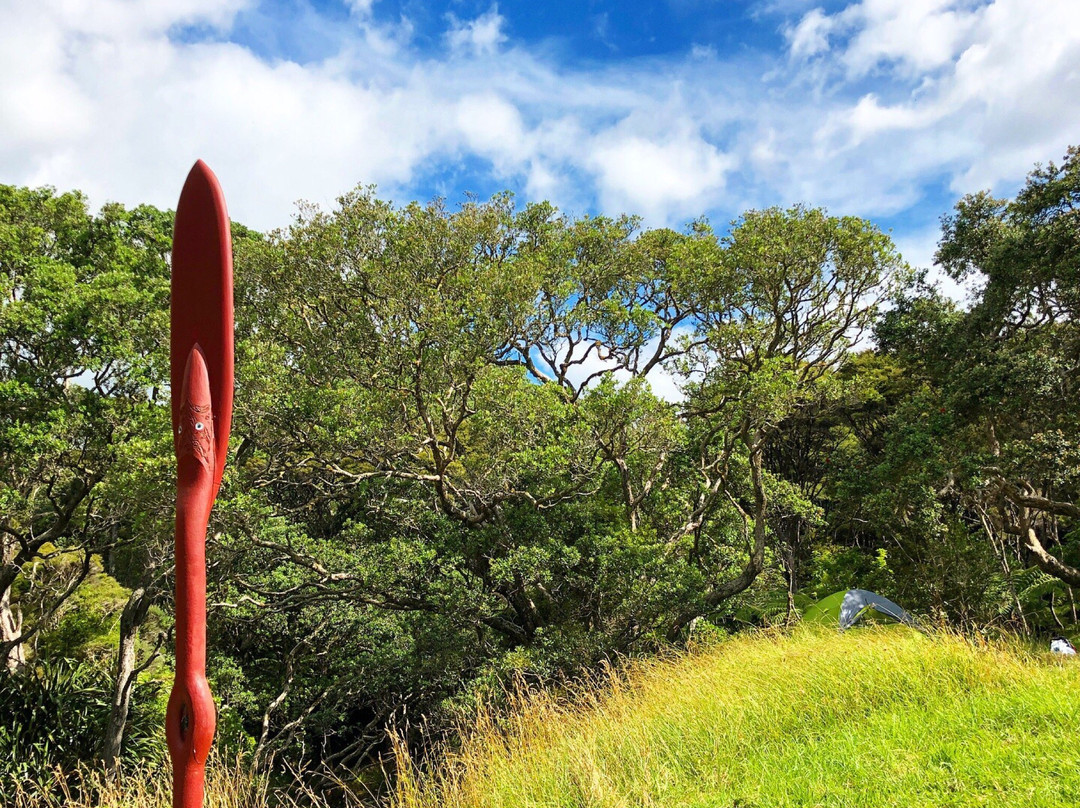 Tawhitokino Regional Park-奥克兰必去景点