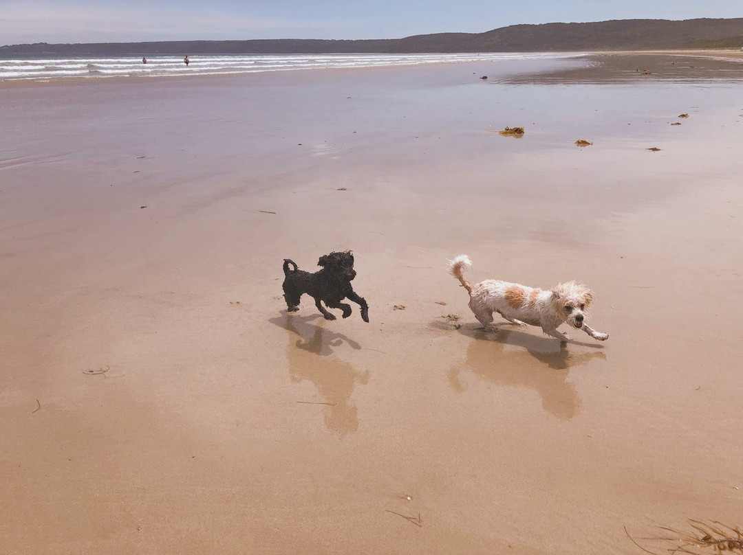 Waratah Bay Beach-Waratah Bay必去景点