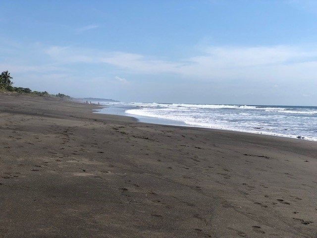 Hermosa Beach House主图