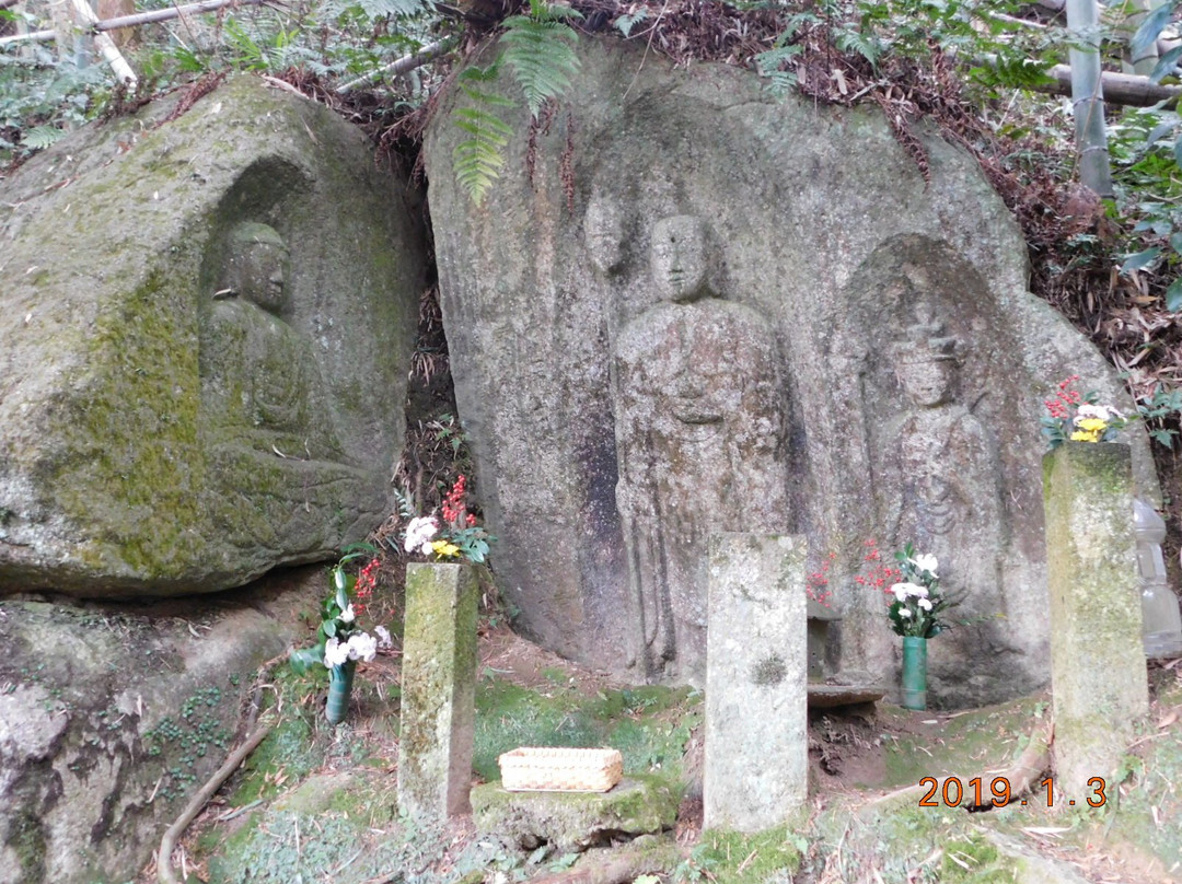 Kizukawa City Community Bus-木津川市必去景点