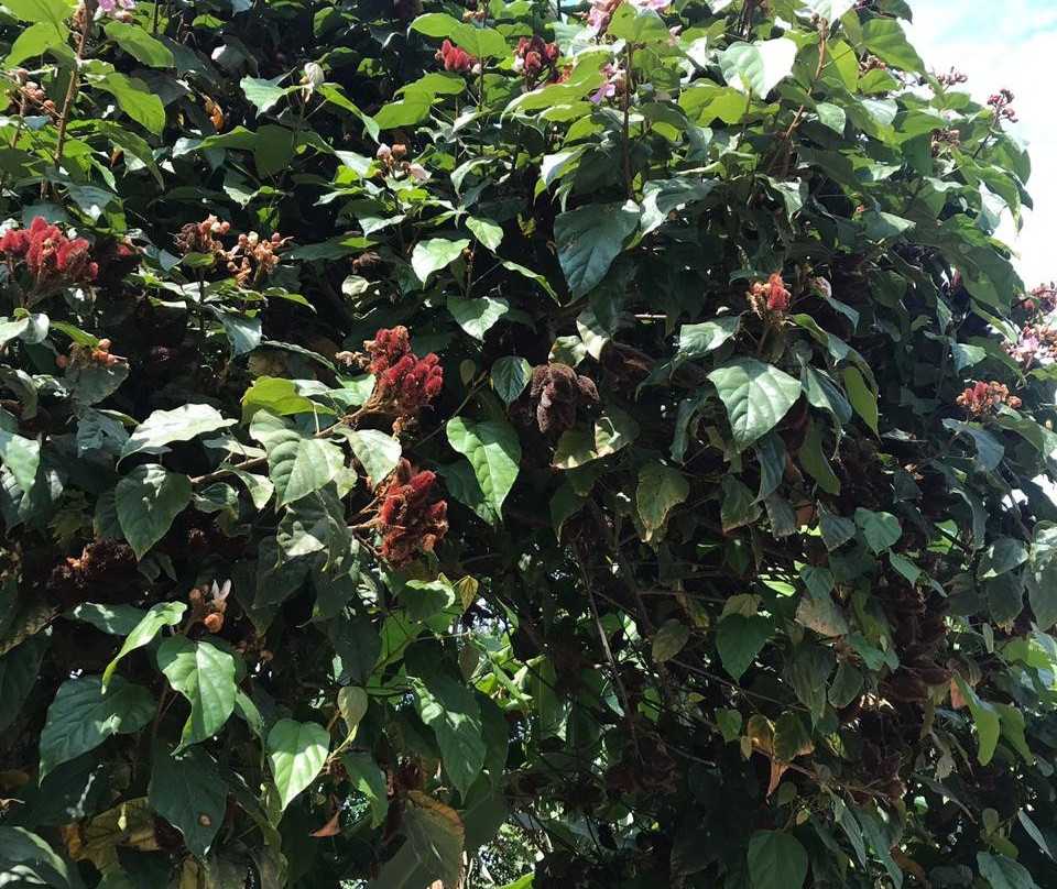 Refugio de Santiago Ecolodge主图