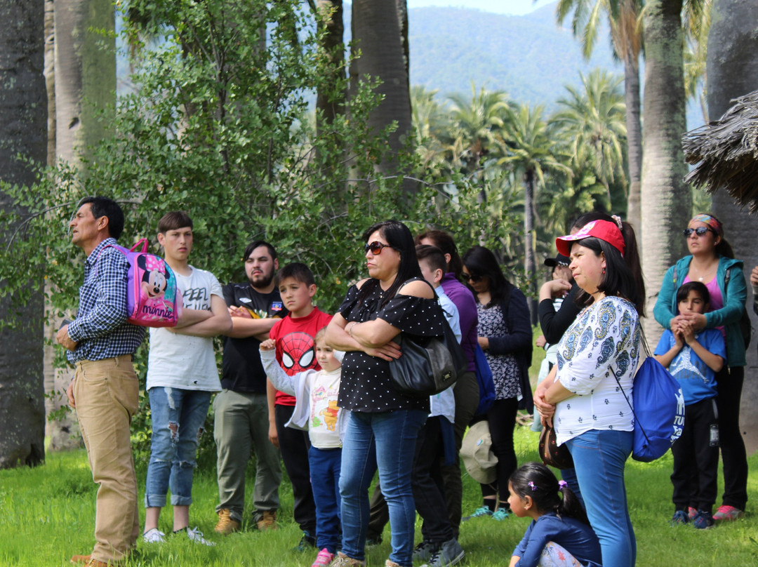 Pitrucao Outdoor-Las Cabras必去景点