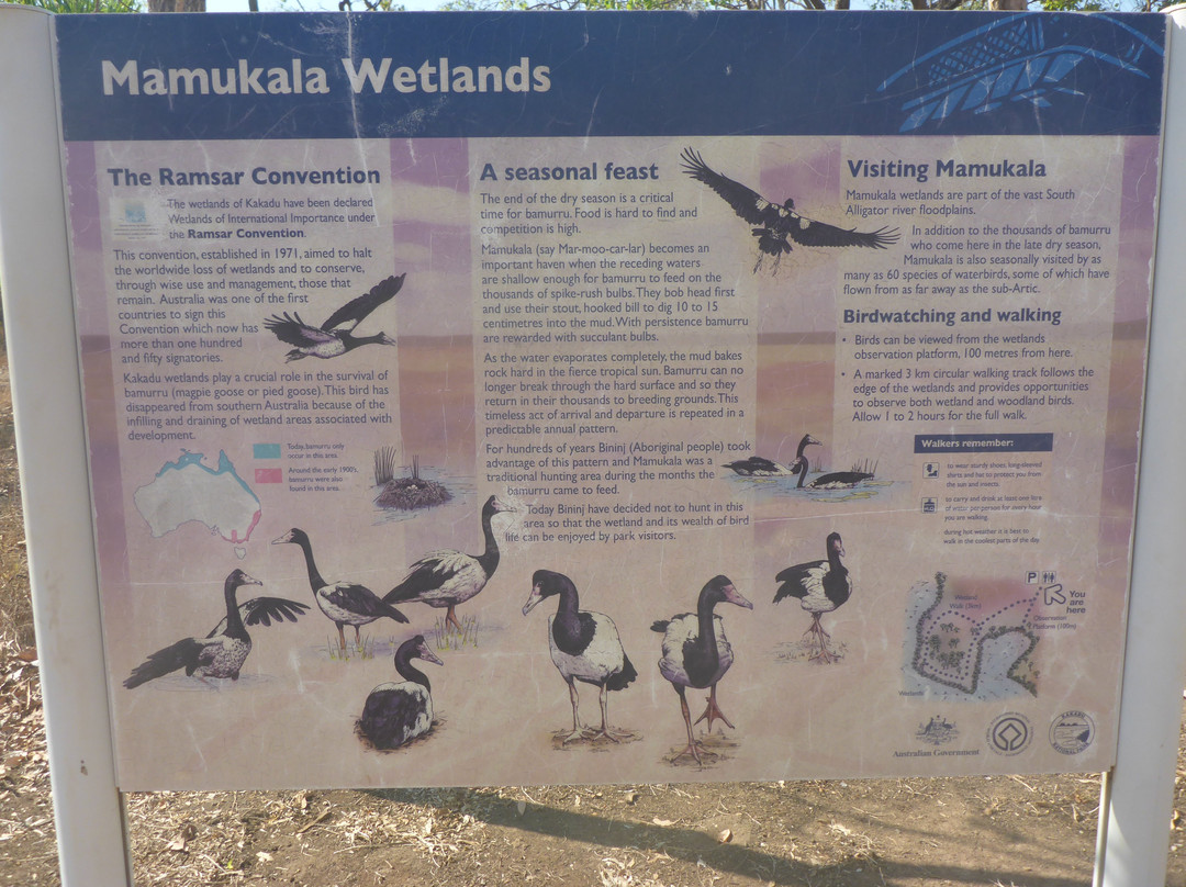 Mamukala Wetlands景点图片