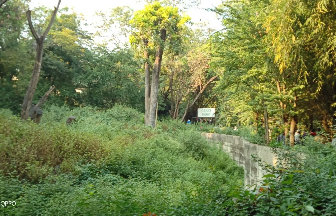 Rajiv Gandhi Zoological Park景点图片