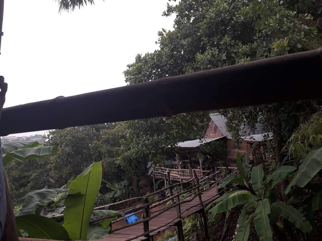 Tree Lodge Banlung主图