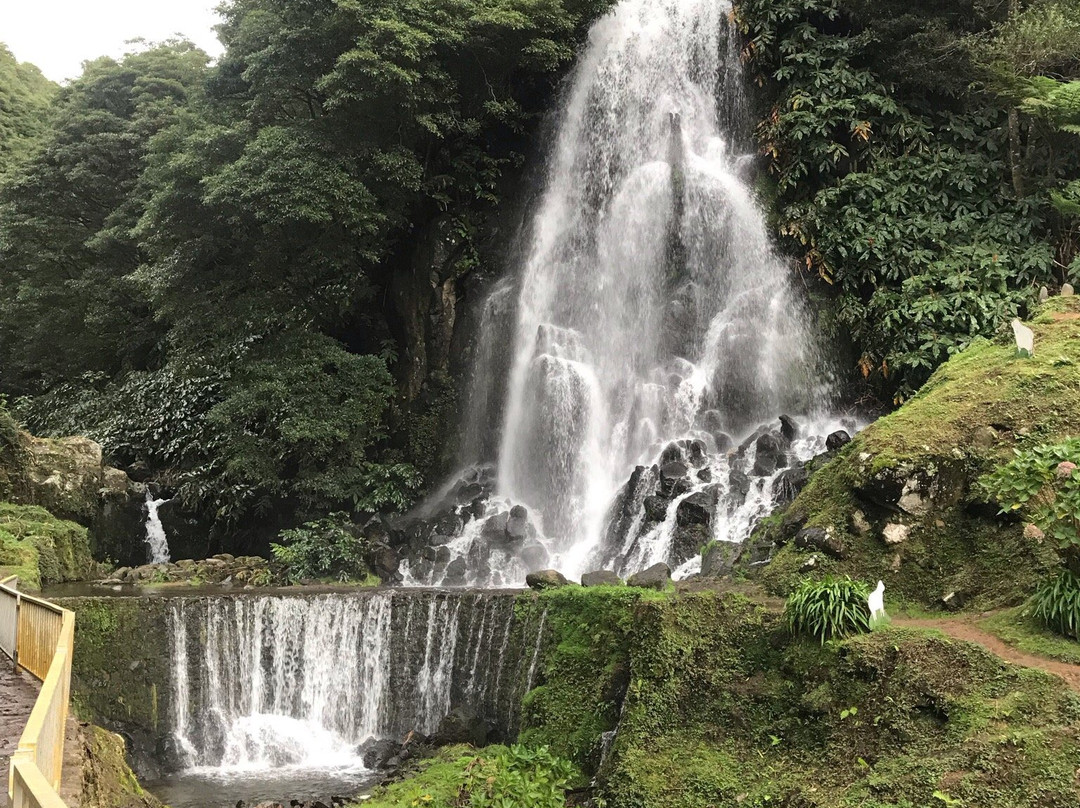 Green Corner Tours景点图片