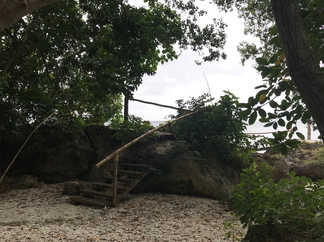 Divi's Boutique Retreat主图