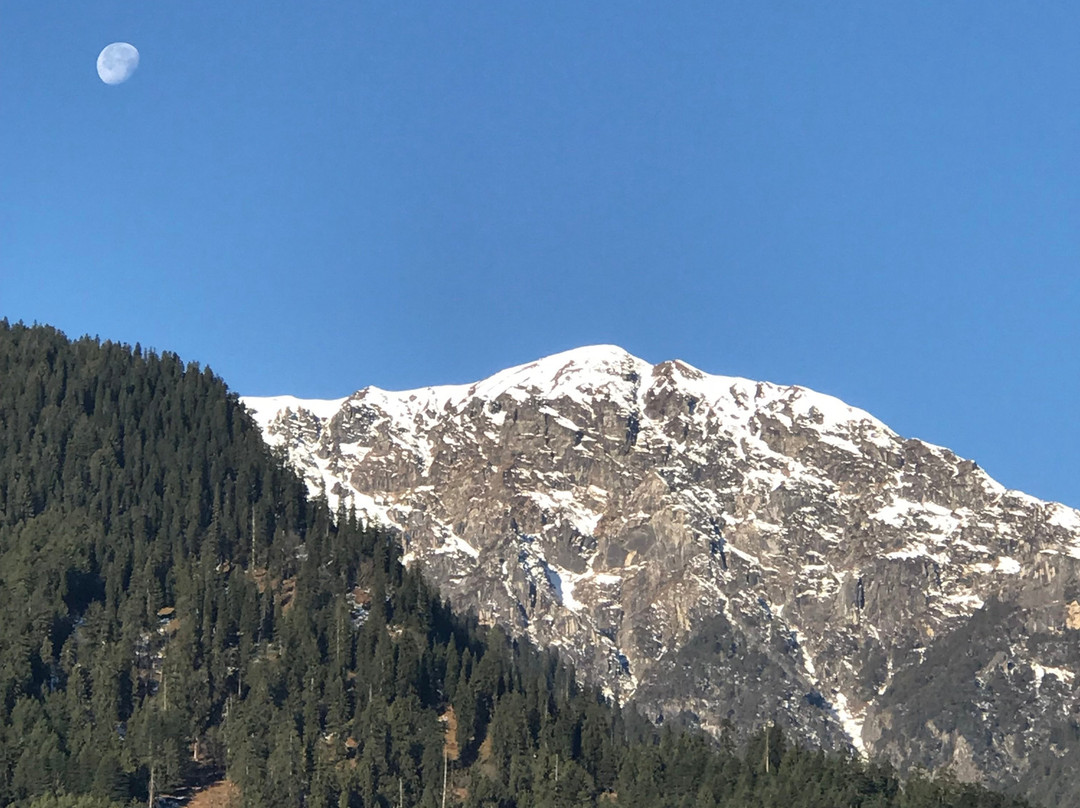 The Orchid Hotel Manali主图