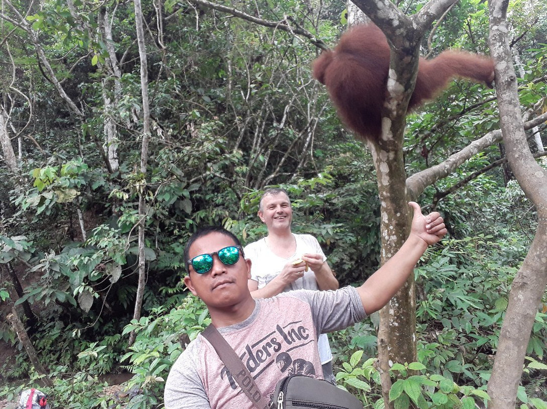 The Bohorok Orangutan Centre at Bukit Lawang-武吉拉旺必去景点