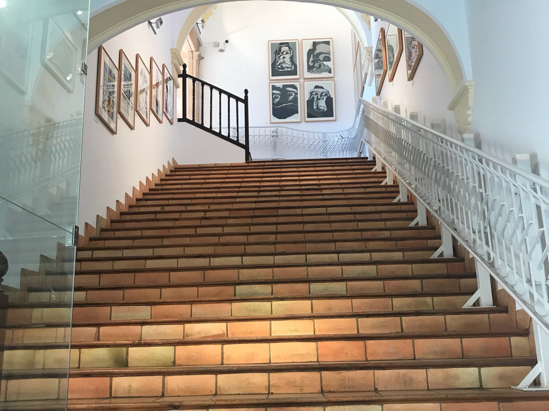 Museo de Obra Grafica景点图片