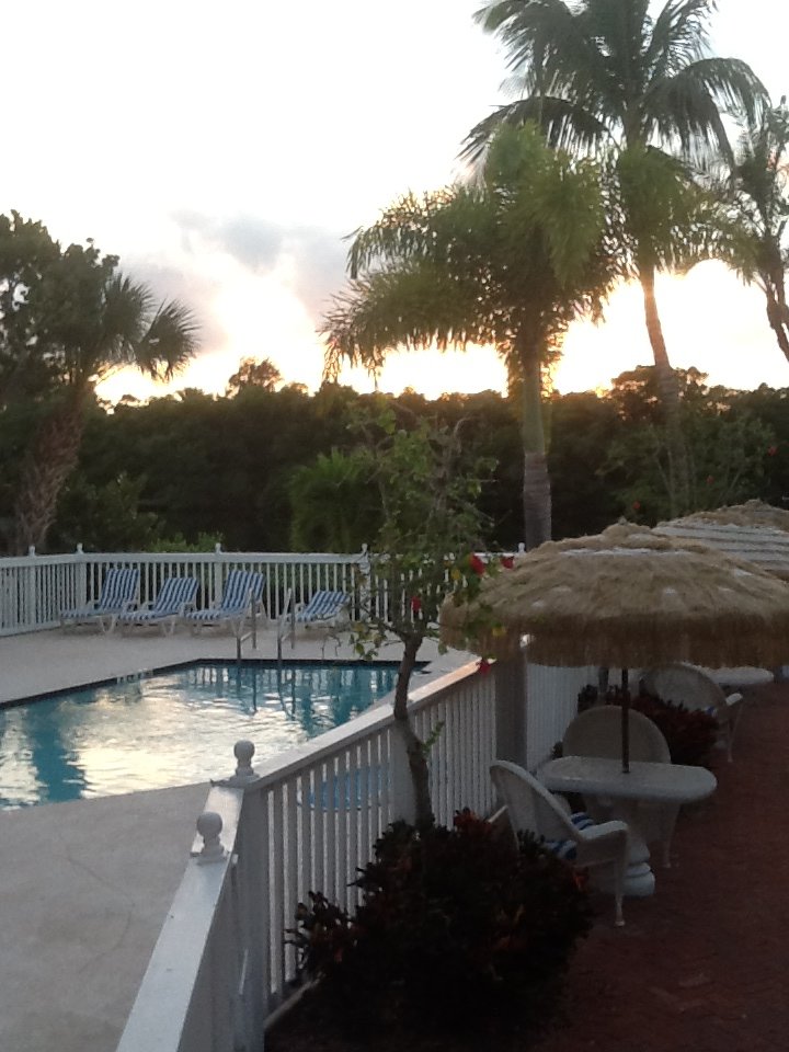 Siesta Key Bungalows-泳池