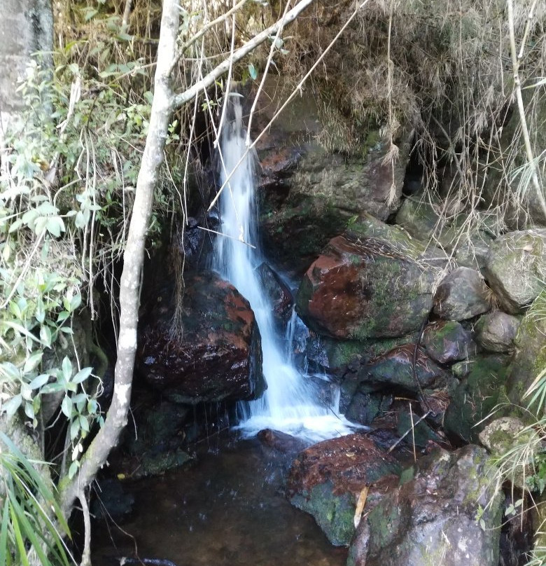 Sendero Ecologico la Zarza-Duitama必去景点