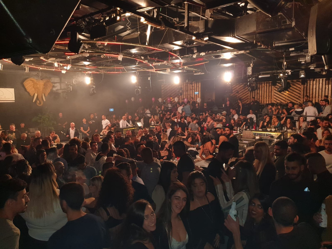 Crazy Elephant-埃拉特必去景点