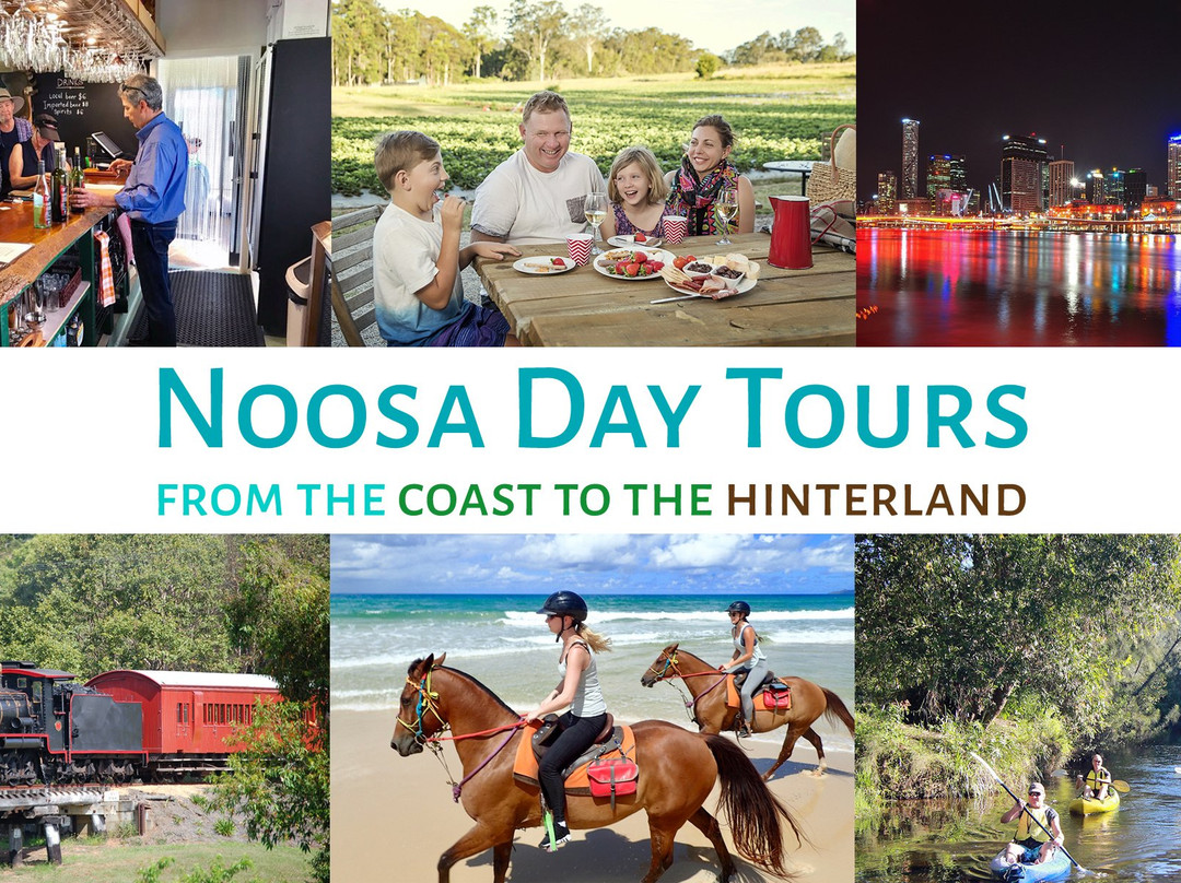 Noosa Day Tours景点图片