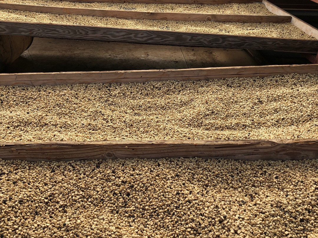 Waialua Estate Coffee and Chocolate-瓦亚禄必去景点