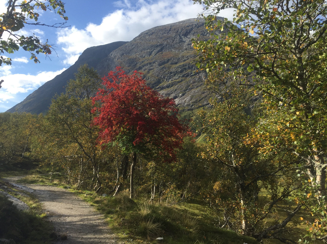 Bodalsbreen-罗恩必去景点