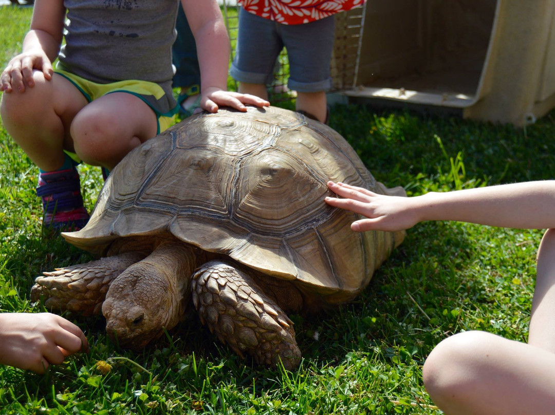 Ponds and Plants-Dayton必去景点
