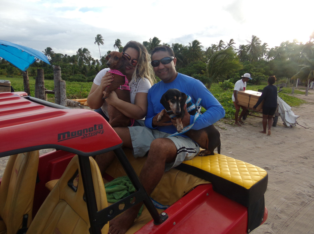 Camacho Beach-Maragogi必去景点