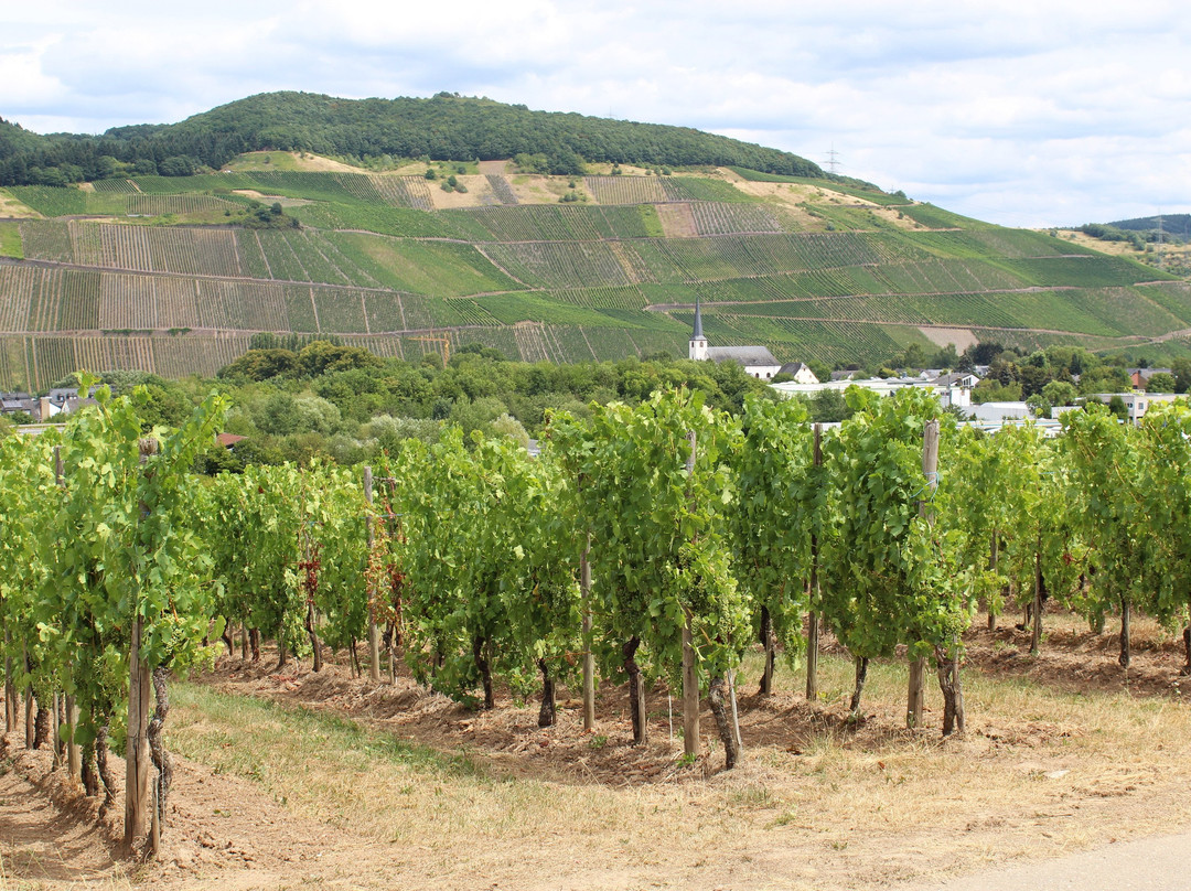 Moselsteig-Seitensprung ,,Longuicher Sauerbrunnen"景点图片