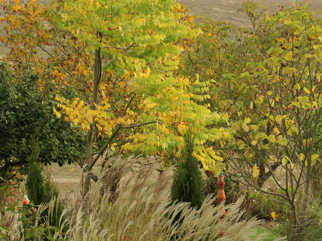 Le Jardin d'Enteoulet景点图片