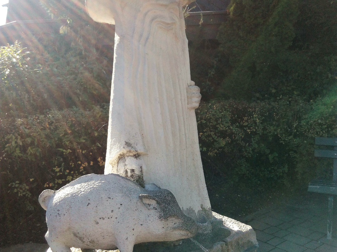 Antoniusbrünnlein景点图片