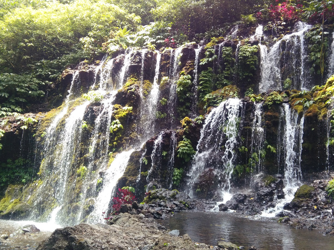 Banyu Wana Amertha Waterfall景点图片
