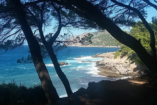 Hotel Hoposa Costa D'or主图