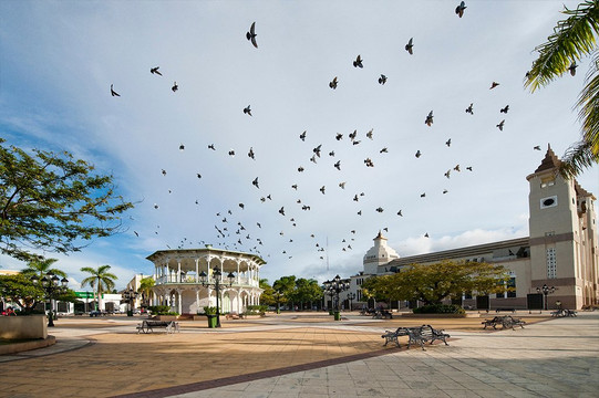 MSTOURSPOP Private tours-普拉塔港必去景点