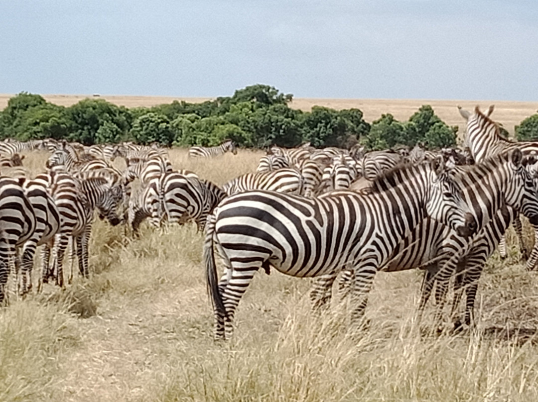 Borderpoint Lodge主图