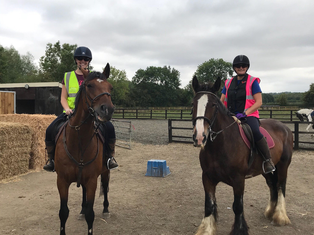 Millfield Riding School景点图片