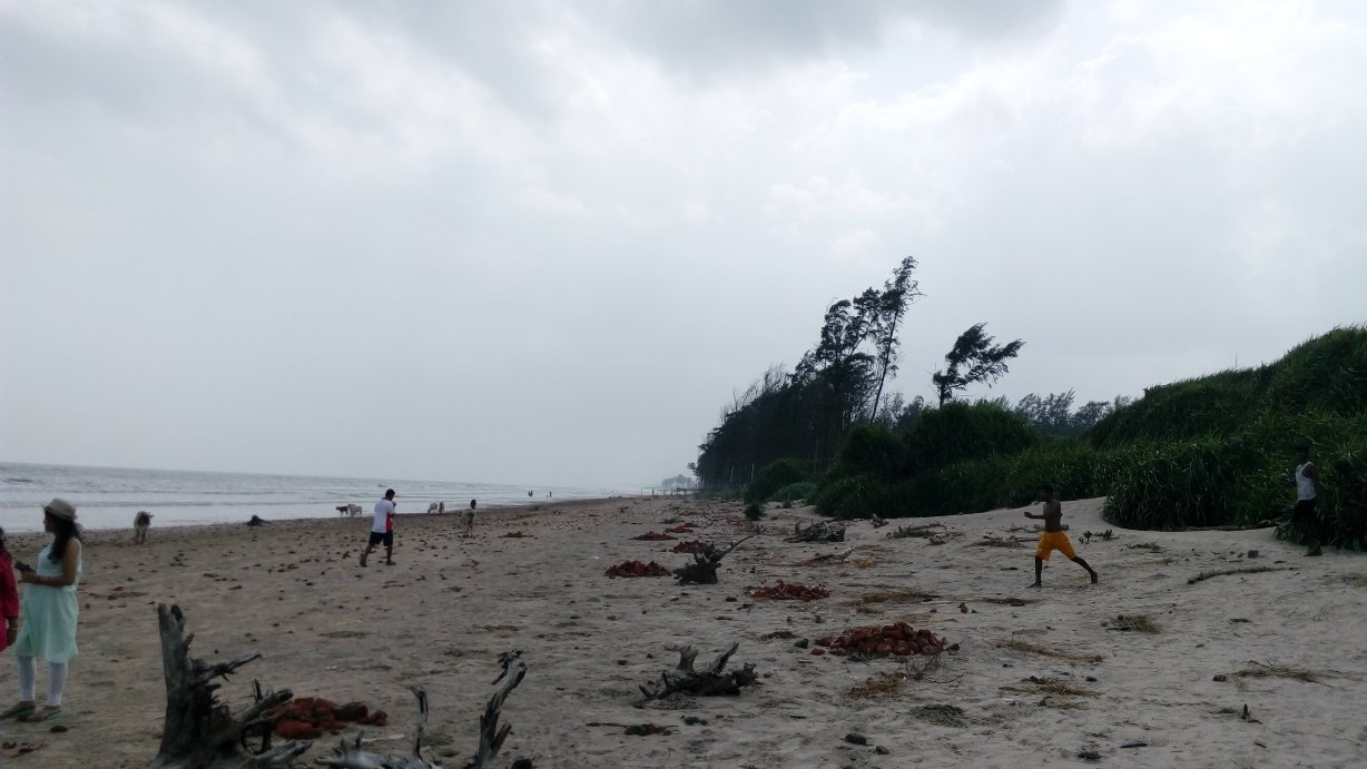Resort Abasar-泳池