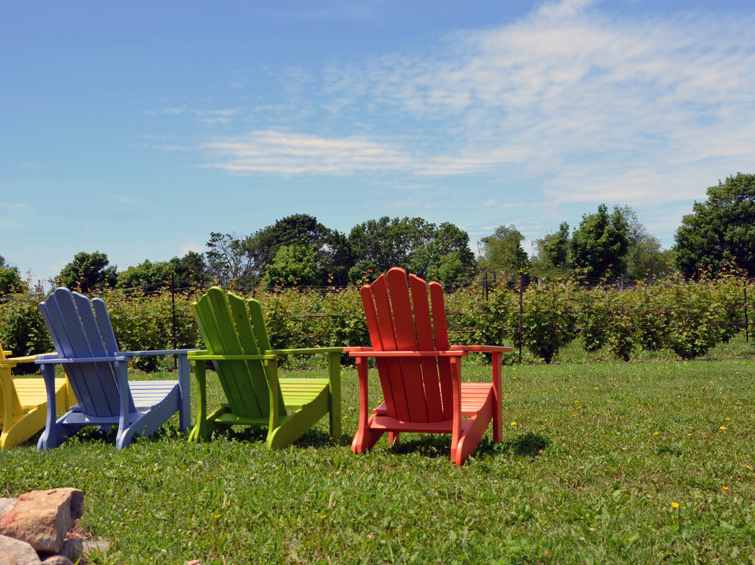 Sandbanks Estate Winery景点图片