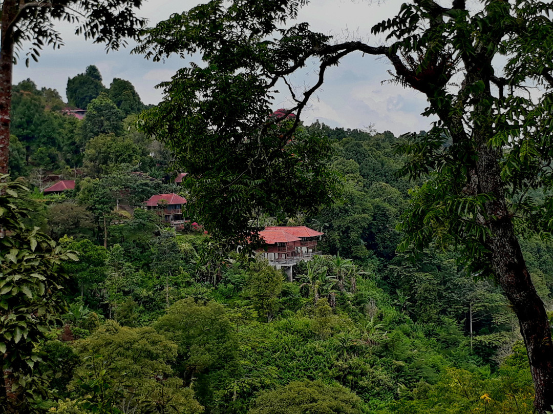 Melanting Cottages & Restaurant主图