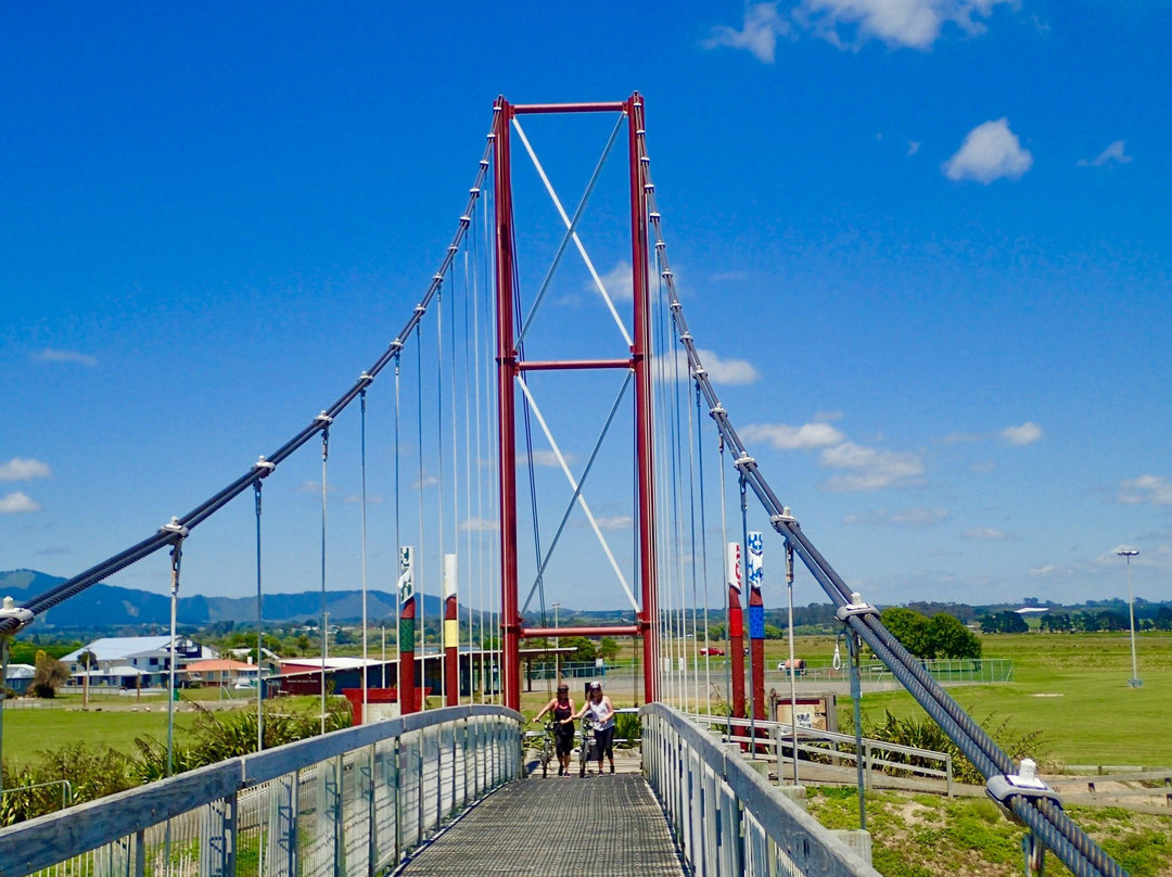 Mighty Motu Bike Tours-Opotiki必去景点