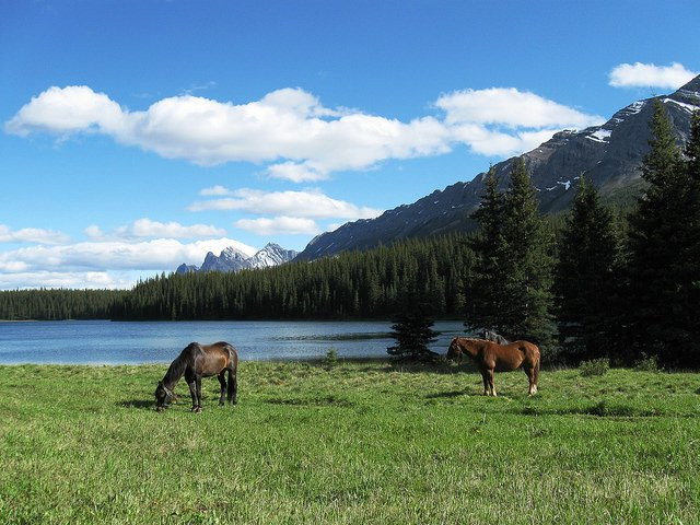 Rock Lake-Solomon Creek Wildland Park-Brule必去景点