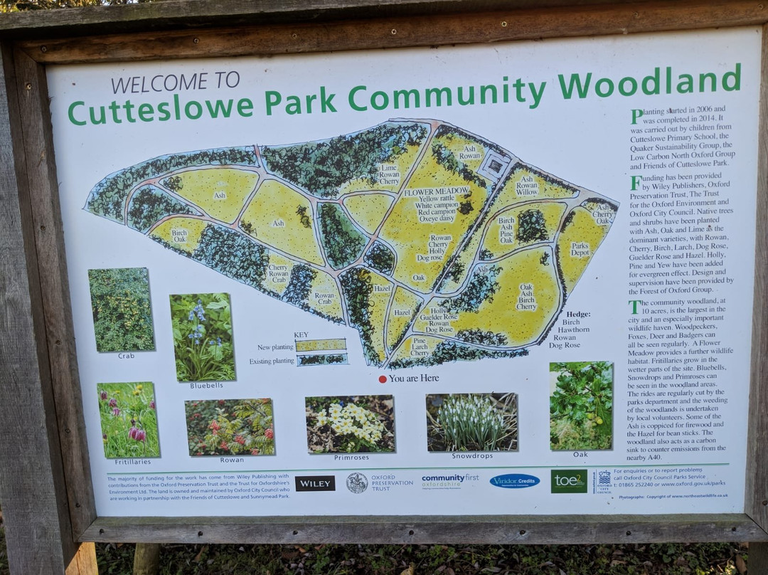 Cutteslowe and Sunnymead Park-牛津必去景点