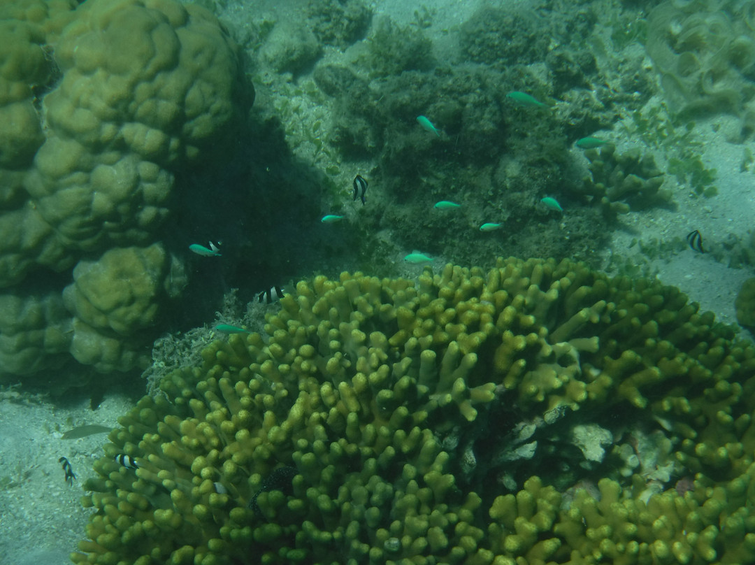 Le Uaina Beach Resort主图